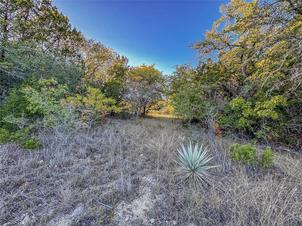 Comanche Peak North - Land