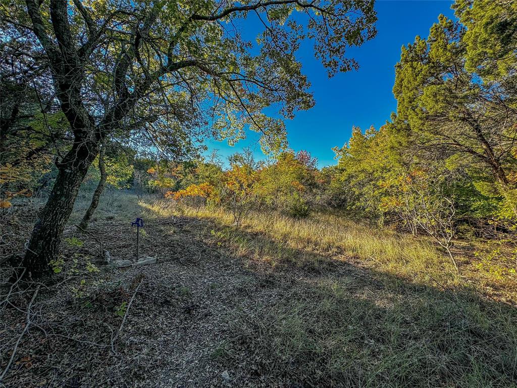 If you are looking for a beautiful, wooded acreage to build your new home - this is it! The drive to the acreage provides panoramic views of Granbury with a canopy of trees lining your drive. Located in the Comanche Peak section of Granbury, this 1.795 acres provides a quiet, country setting to call home. Beautiful views and sunsets. Close drive to Lake Granbury and The Square in downtown Granbury with wonderful shopping and dining.