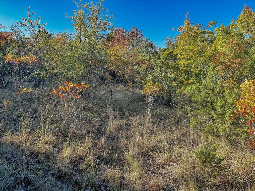Comanche Peak North - Land