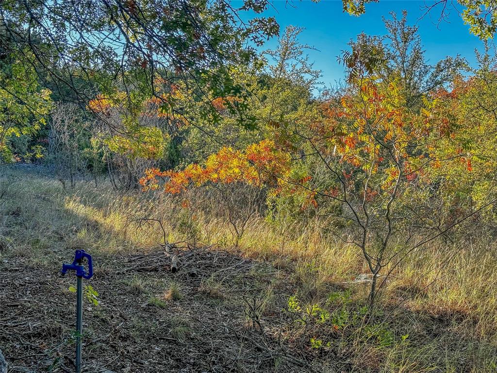 Comanche Peak North - Land