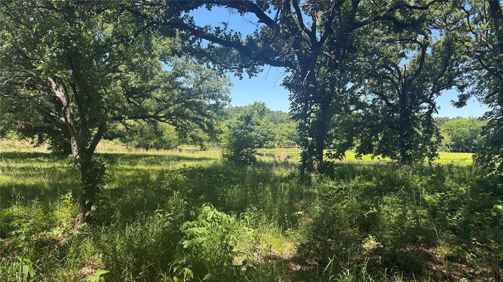 Twin Oaks - Residential