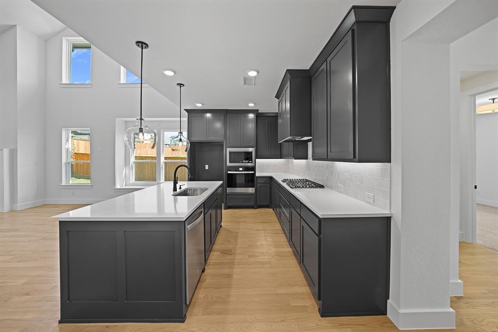 Aster Park - Residential