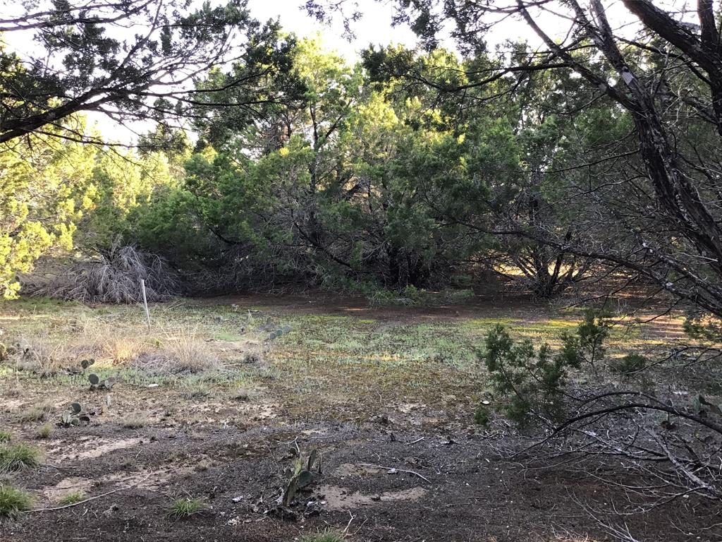 White Bluff #29 - Land