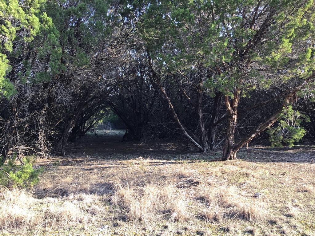 White Bluff #29 - Land