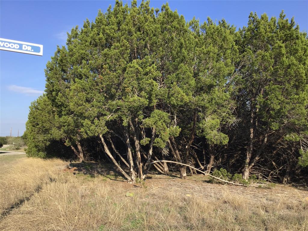 White Bluff #29 - Land