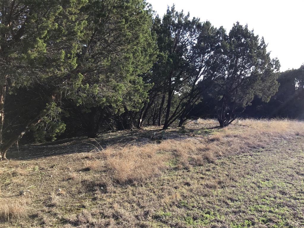 White Bluff #29 - Land