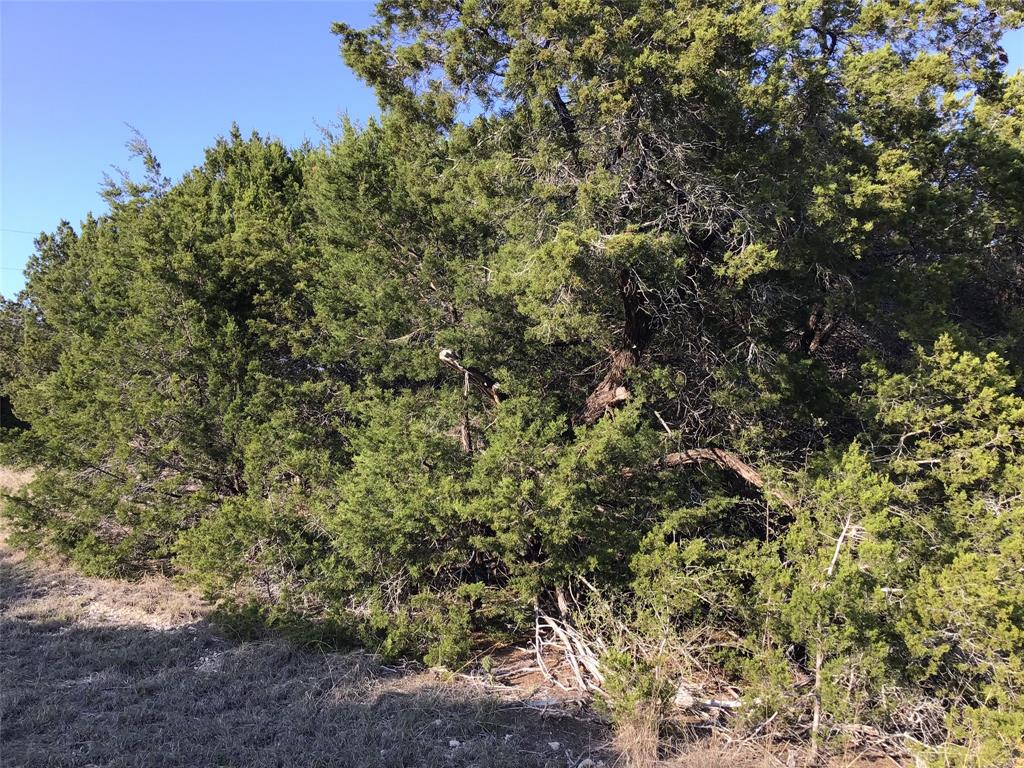 White Bluff #29 - Land
