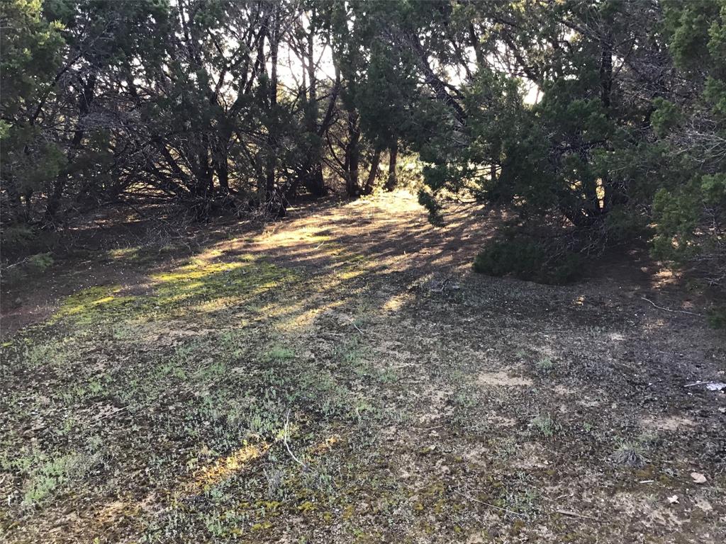 White Bluff #29 - Land