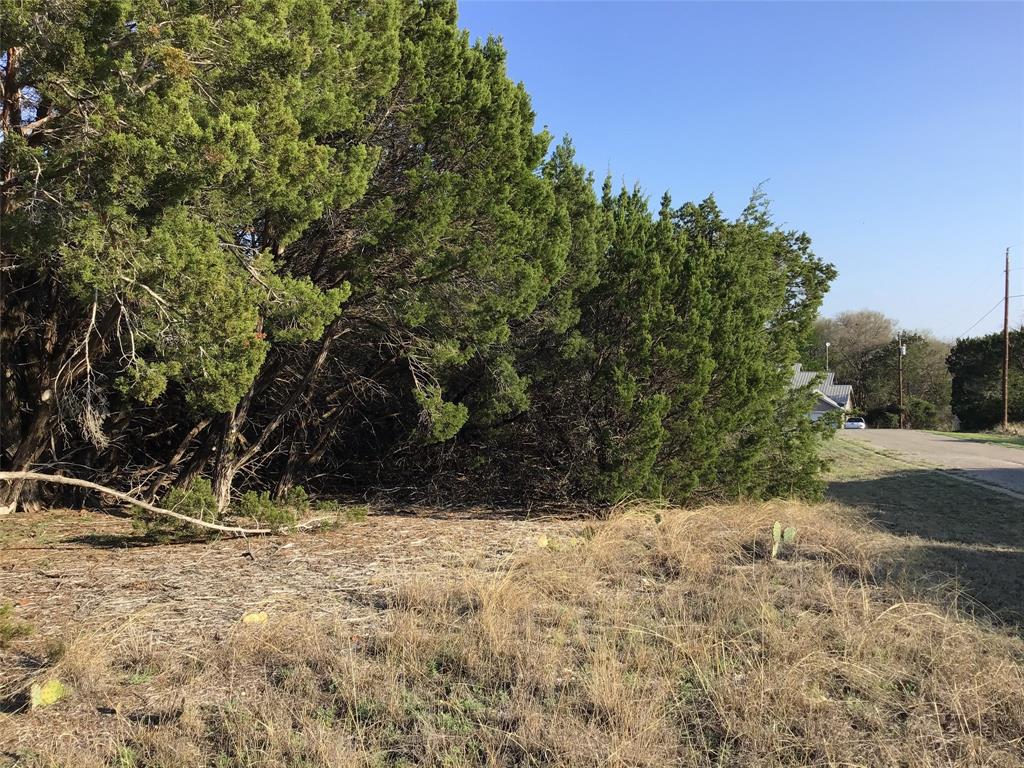 White Bluff #29 - Land