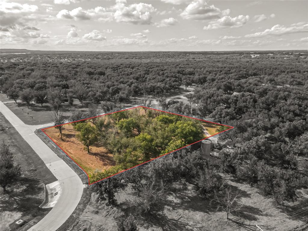 Pecan Plantation - Land