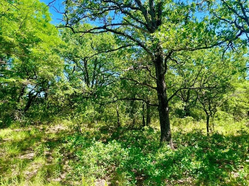 Sarra Ranch Estates - Land