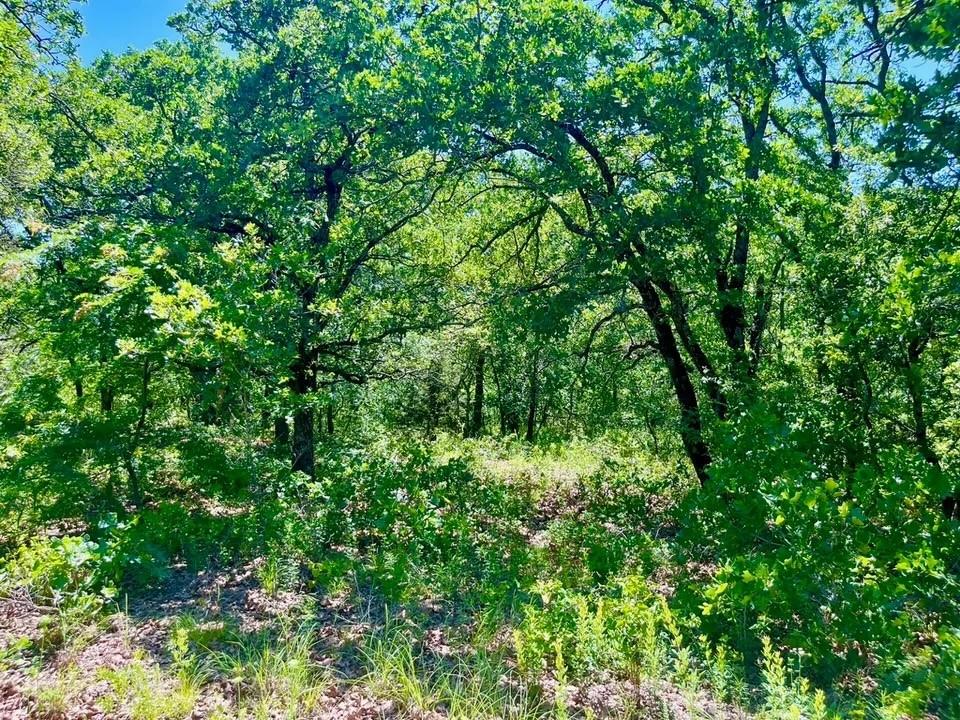 Sarra Ranch Estates - Land