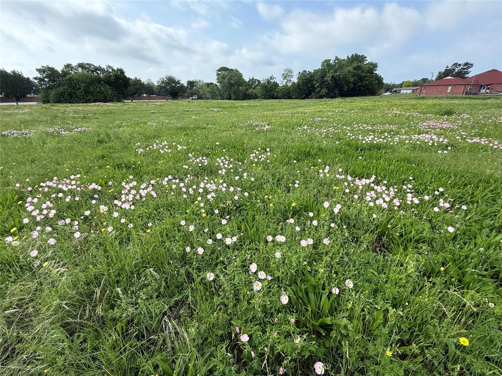 Eastridge Park - Land