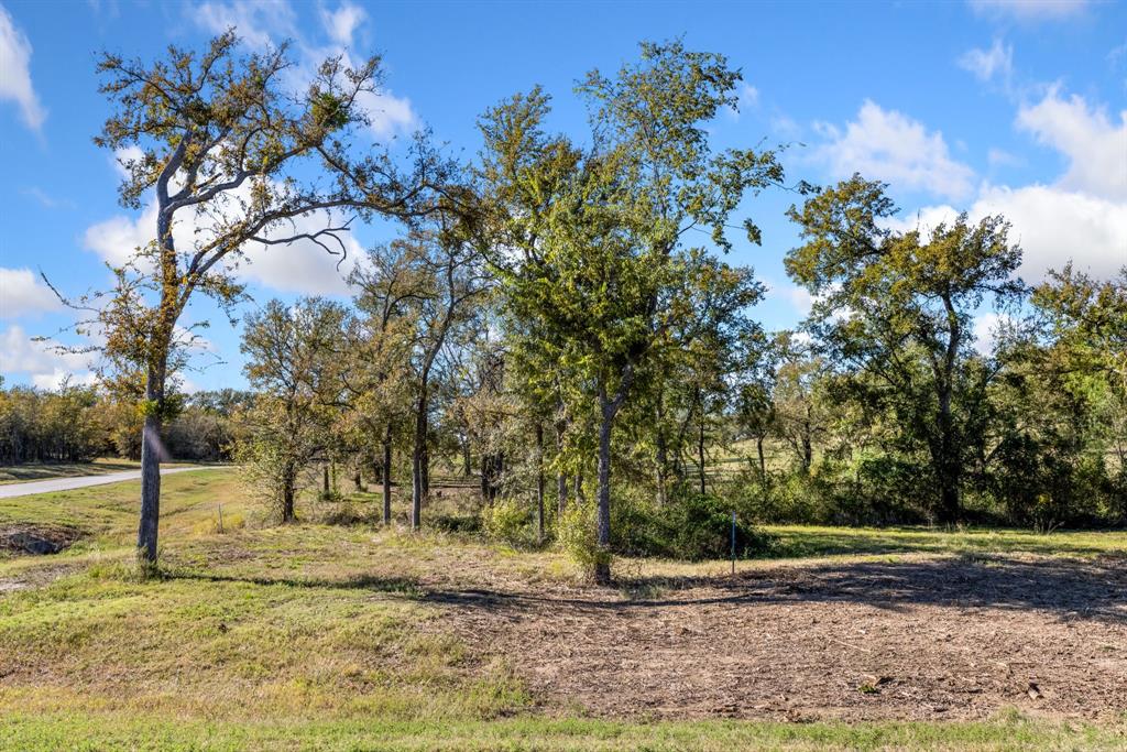 Diamond Point - Land