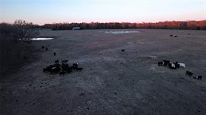 Kinzey - Land