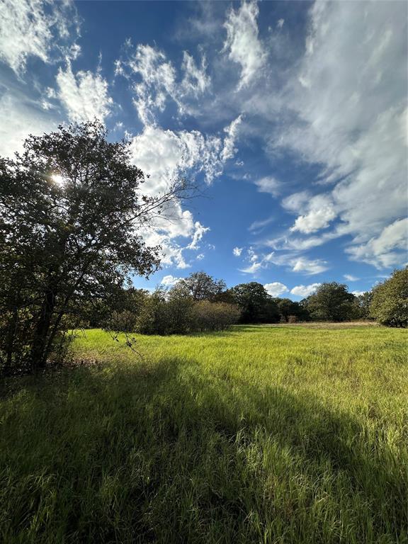 The Ranches at Blackjack Mdws - Land