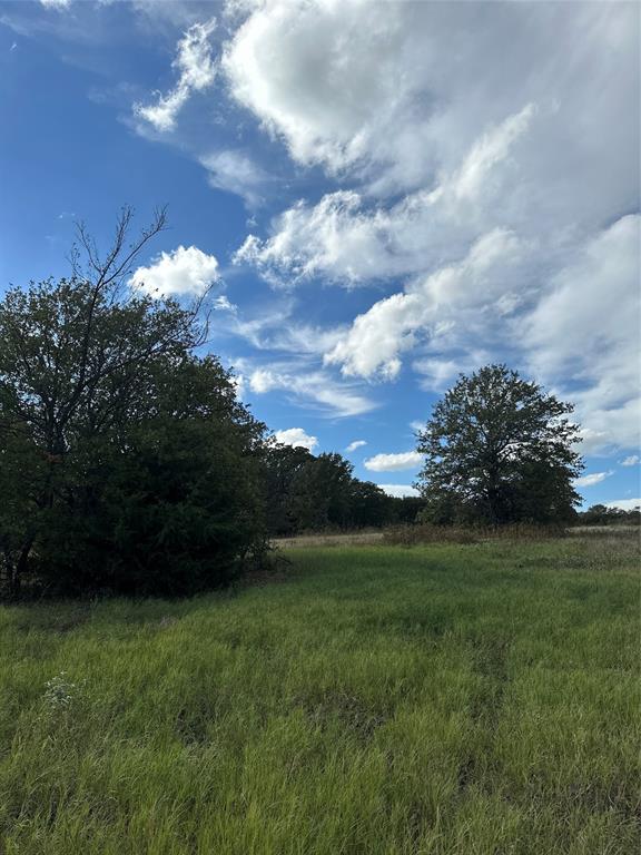 The Ranches at Blackjack Mdws - Land