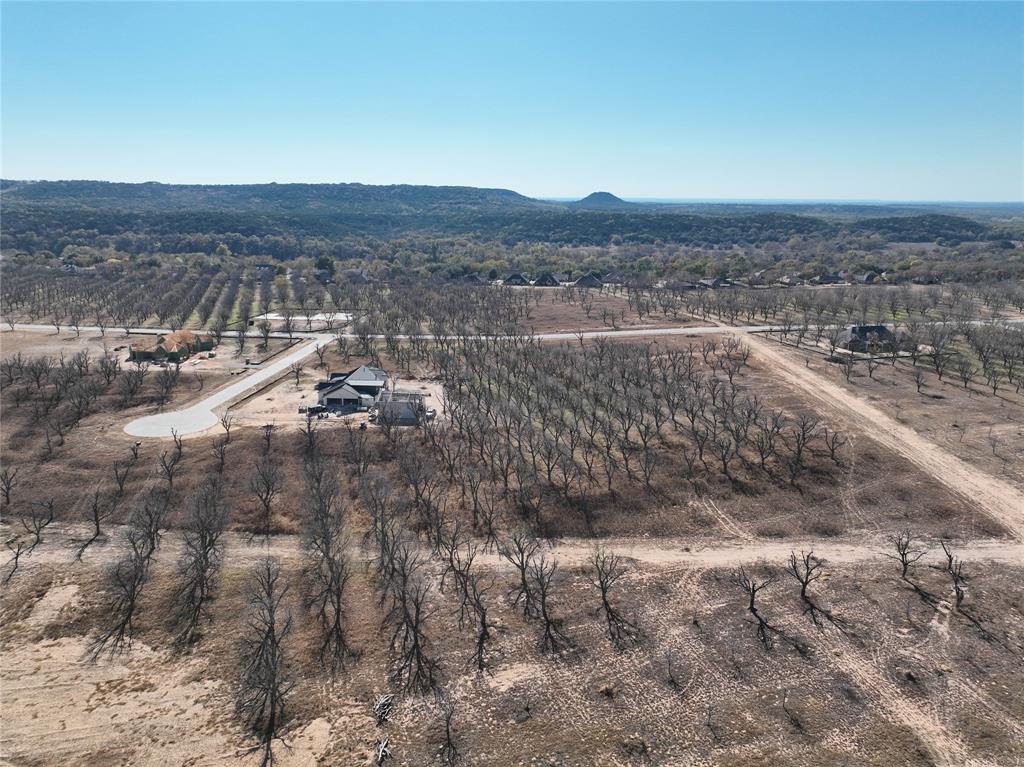 Pecan Plantation - Land