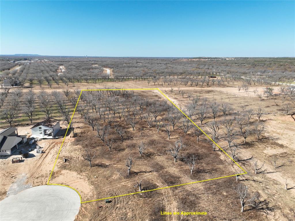 Pecan Plantation - Land