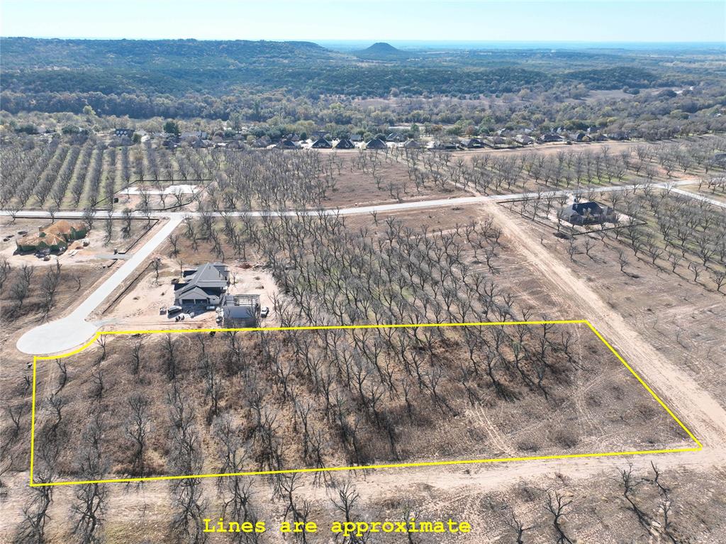 Pecan Plantation - Land