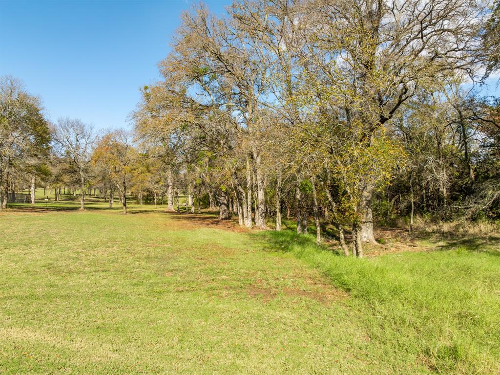 White Bluff #13 - Land