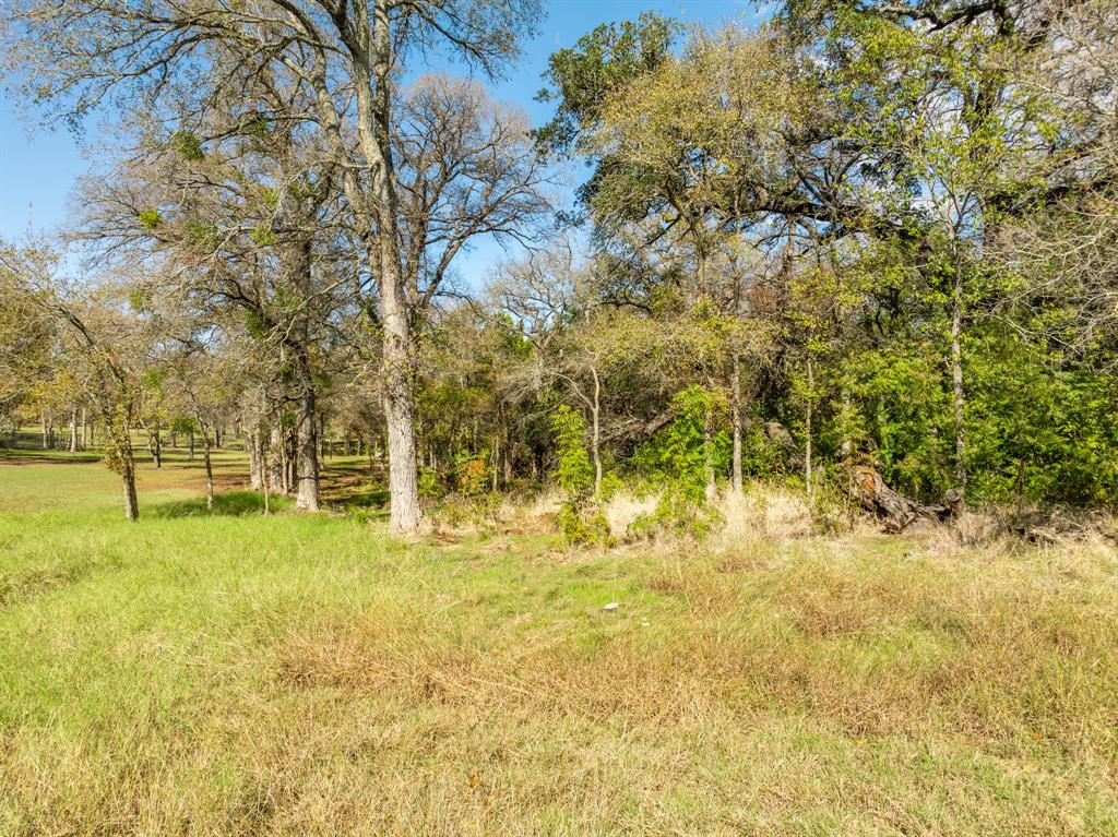 White Bluff #13 - Land