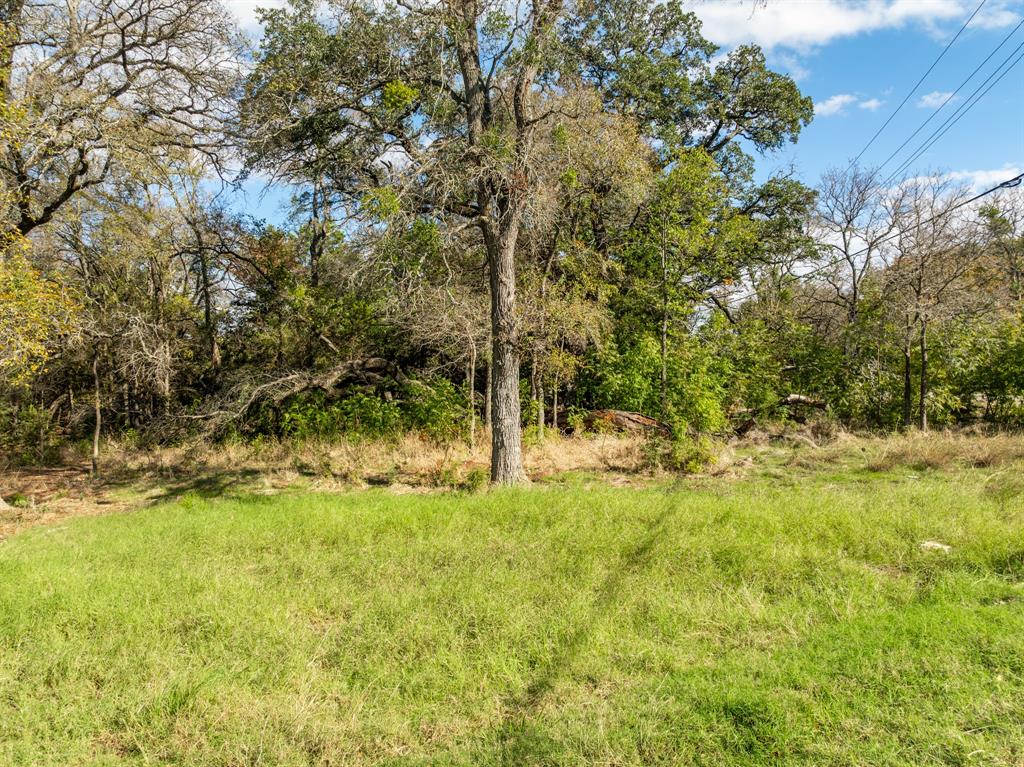 White Bluff #13 - Land