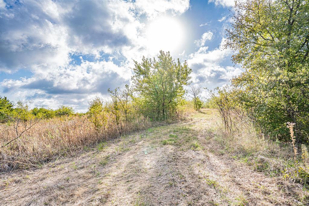 None - Farm