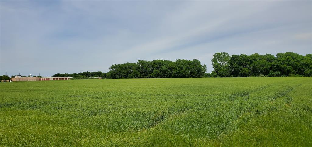 Thomas Survey - Land