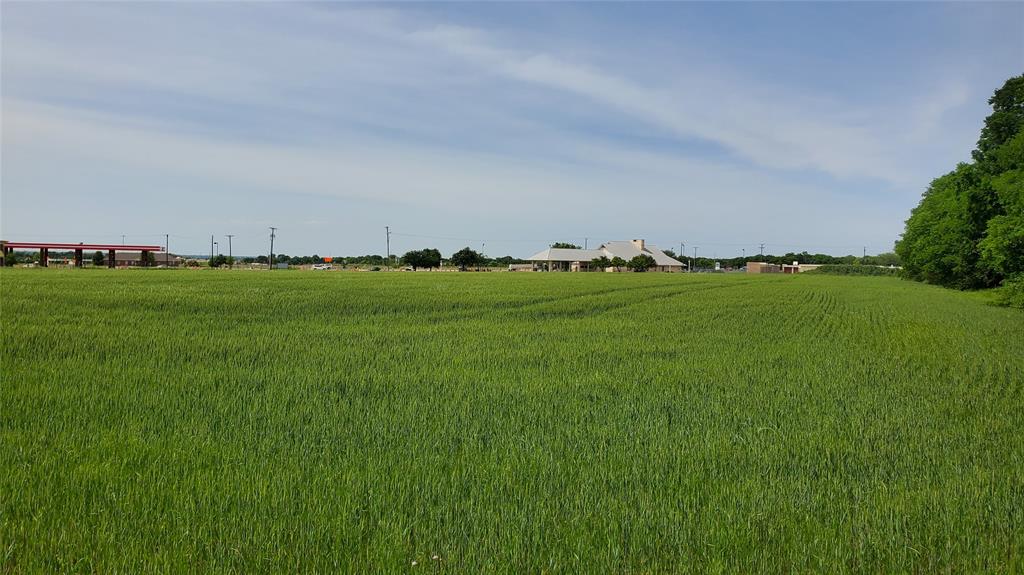 Thomas Survey - Land