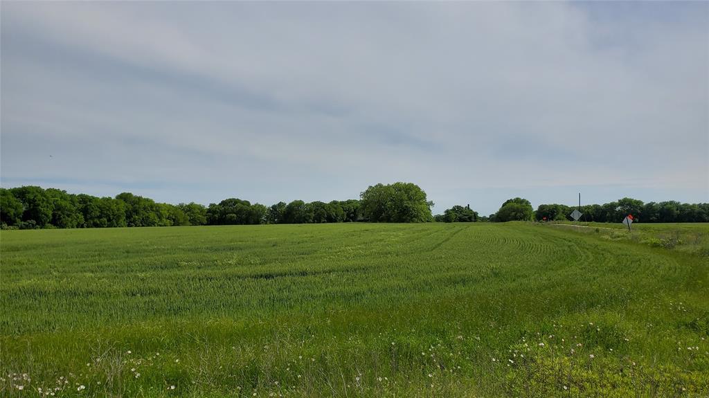 Thomas Survey - Land