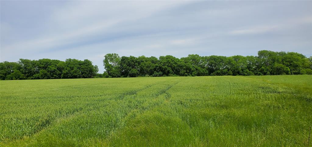 Thomas Survey - Land
