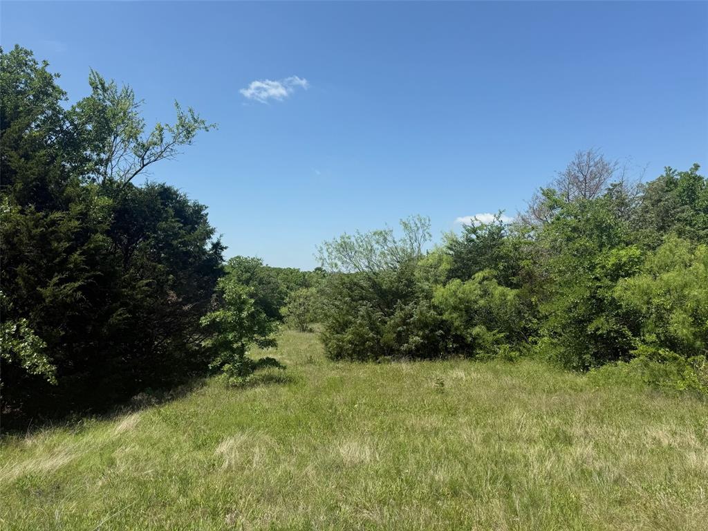 THIS PRIME ACREAGE FOR DEVELOPMENT IS A MUST TO SEE! THIS IS TRACT THREE OF FOUR BEING 10.15 ACRES LOCATED ON THE TOTAL TRACT OF 46.494 ACRES JUST SOUTH OF DECATUR AND MINUTES FROM THE CITY. IT IS INDEED WHAT EVERY DEVELOPER WILL WANT!! The owner has completed all of the county requirements to develop the property with 2-acre spacings even though we are selling it as a whole or separately by lot. Not only have all of the requirements for the land been completed, but they have also drilled two very good water wells and have had all of the
associated tests the county requires completed as well. WELLS LOCATED ON TRACTS #1 and #2. TRACT 3 DOESN'T HAVE A WELL. Much of this beautiful property with many trees on it has been cleared of large amounts of brush making it ready for you to start moving dirt to build your desired development today! There are many configurations you can develop on this incredible property due to the extensive work that has already been done on it. ALSO SEE LISTINGS FOR TRACTS 1, 2 and 4. Lot Amounts and Prices are: Tract #1 - 11.61 acres = $439,000 Tract #2 - 10.15 acres = $395,000 Tract #3 - 10.15 acres = $379,000 Tract #4 - 14.58 acres = $524,880 THESE WILL NOT LAST LONG!! PLEASE CALL TODAY!!