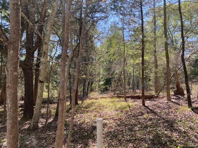 CALLENDER LAKE – Wooded .71 Acre Lot in Gated Community.  Enjoy peaceful East Texas living on this .71-acre heavily wooded lot located in the secure, gated Callender Lake community. Surrounded by mature trees and abundant wildlife, this property offers the perfect setting to build your dream home or weekend retreat. Residents enjoy access to the lake, parks, and a community center—ideal for relaxing and enjoying nature.