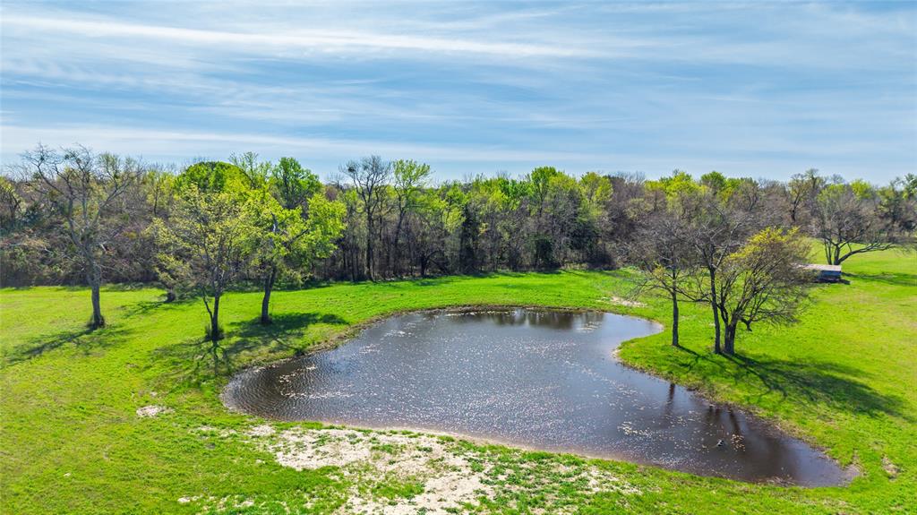 Rural 16 Acres - Land