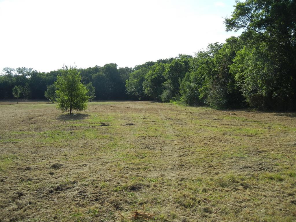 William Sanders Survey - Land