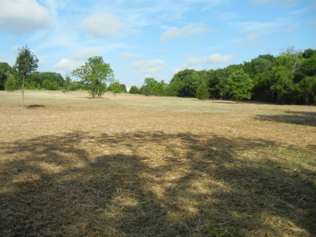 William Sanders Survey - Land