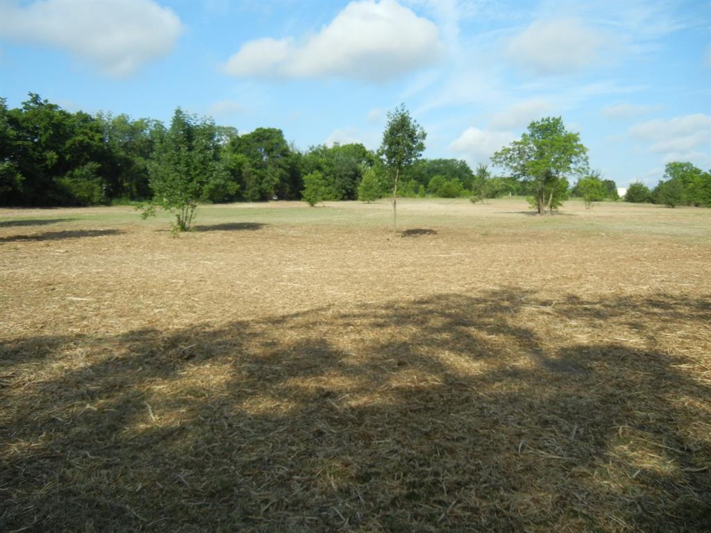William Sanders Survey - Land