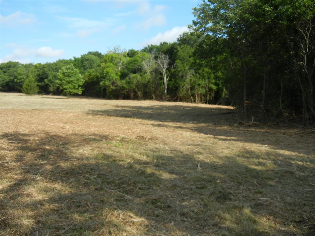 William Sanders Survey - Land