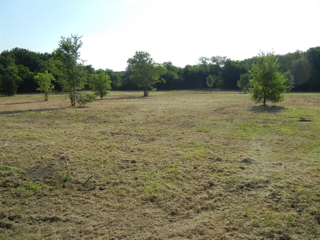 William Sanders Survey - Land