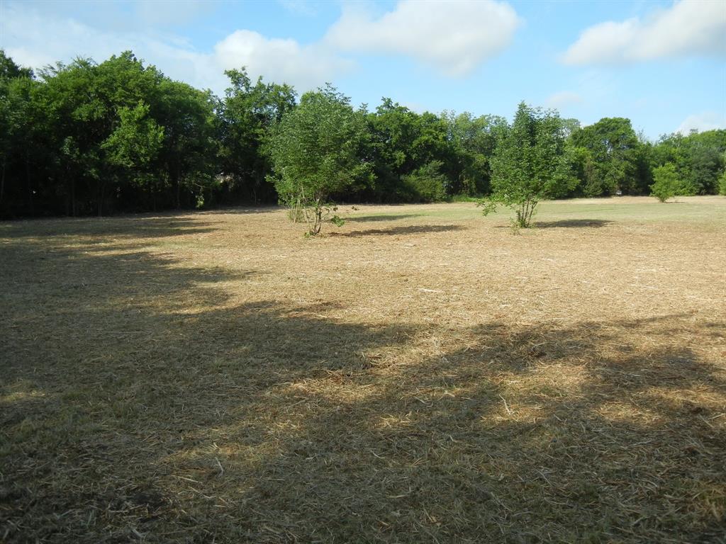 William Sanders Survey - Land