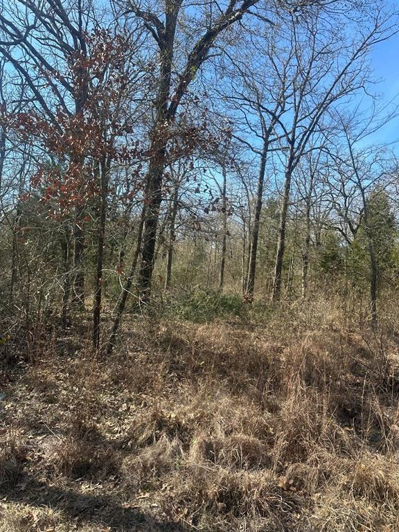 Golden Oaks Sub - Land