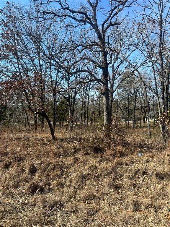 Golden Oaks Sub - Land