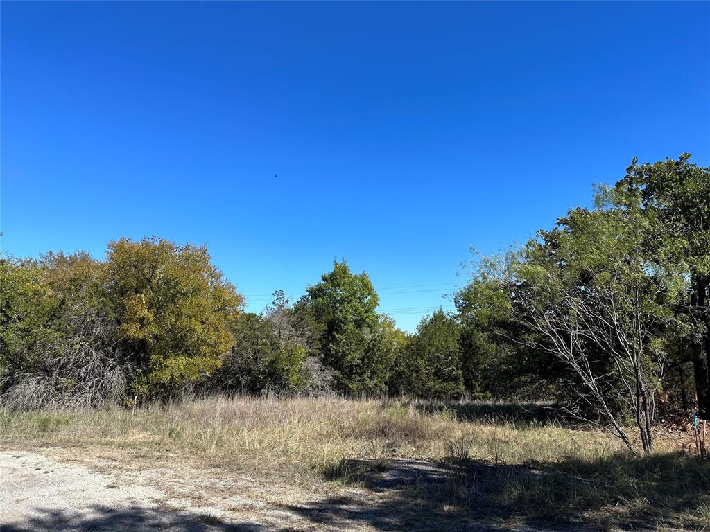 Lake Granbury Hbr Sec C - Land
