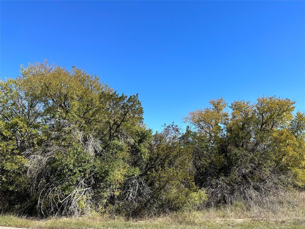 Lake Granbury Hbr Sec C - Land