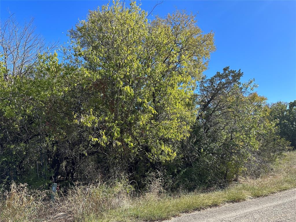 Lake Granbury Hbr Sec C - Land