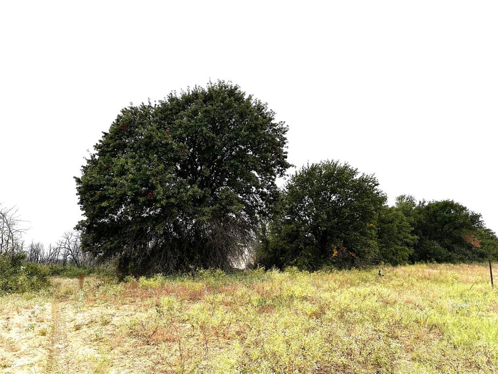 H&Tc 990 - Farm