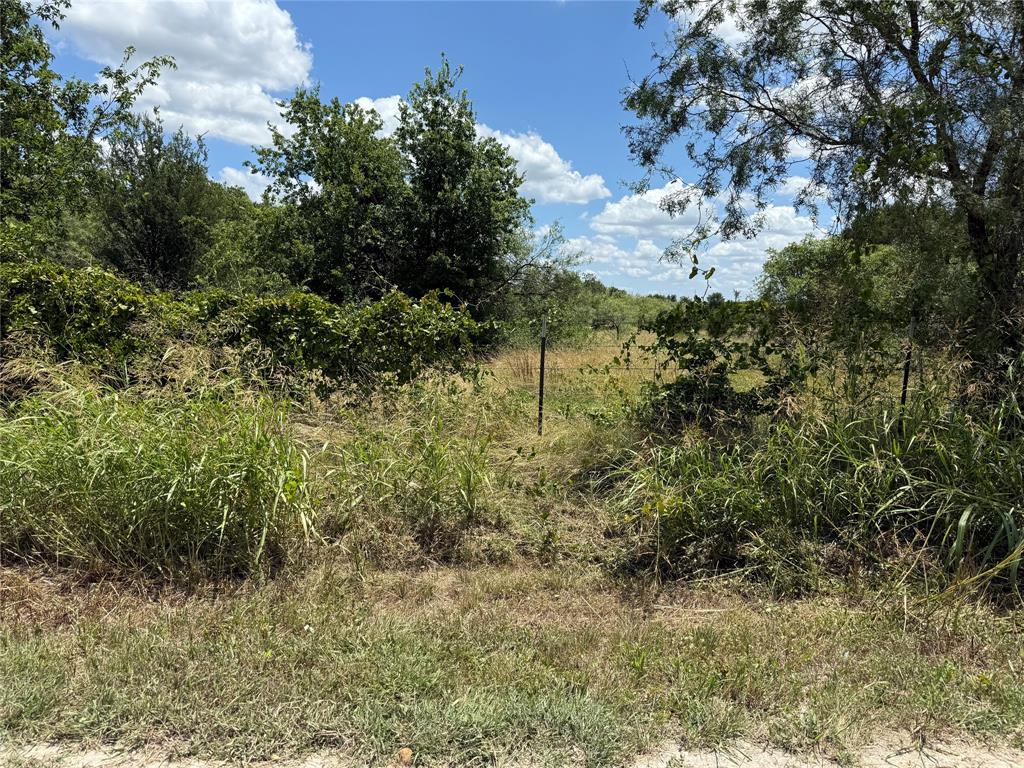 Alta Vista - Land