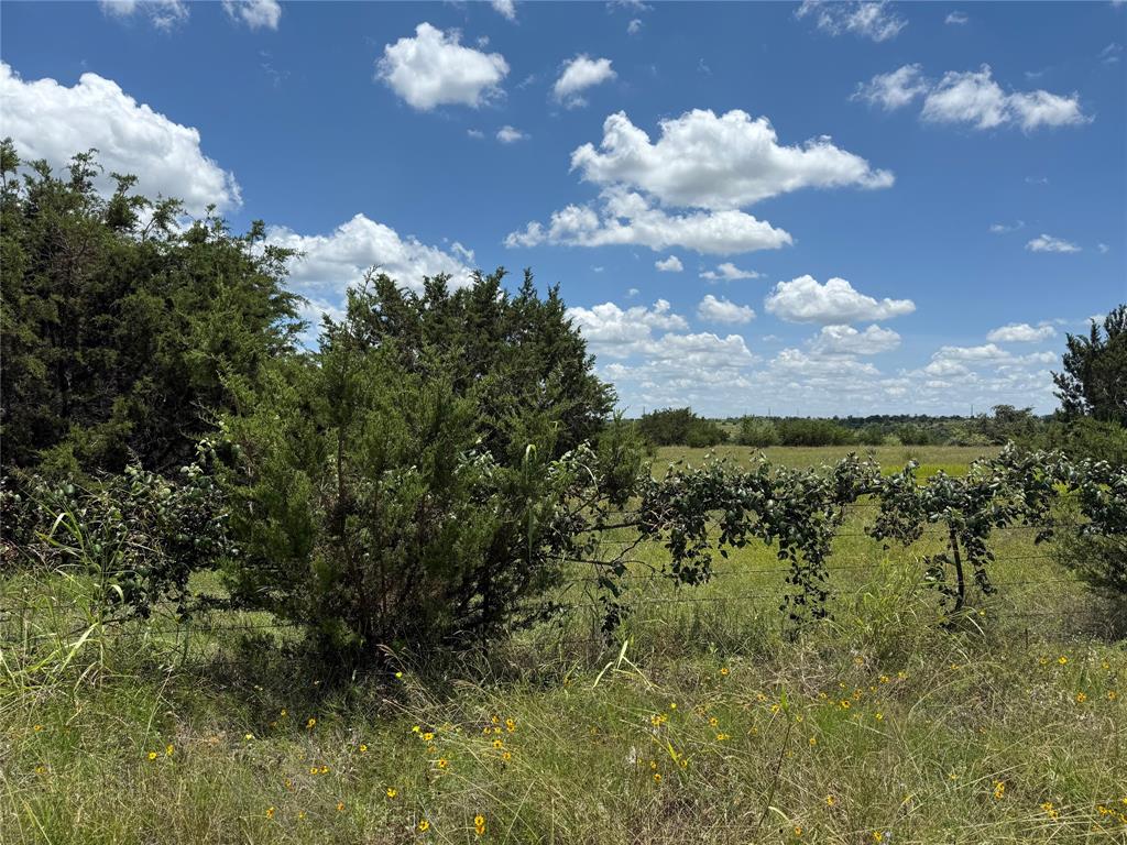 Alta Vista - Land