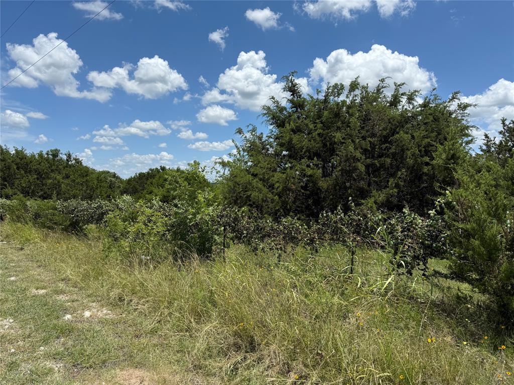 Distant lake views from a second story.  12 acres of untouched lake land.  Hide your dream home here or develop to your dreams desires. Nice area for a little ranchette.  Settled between Whitney and Clifton and central between Waco and Forth Worth.